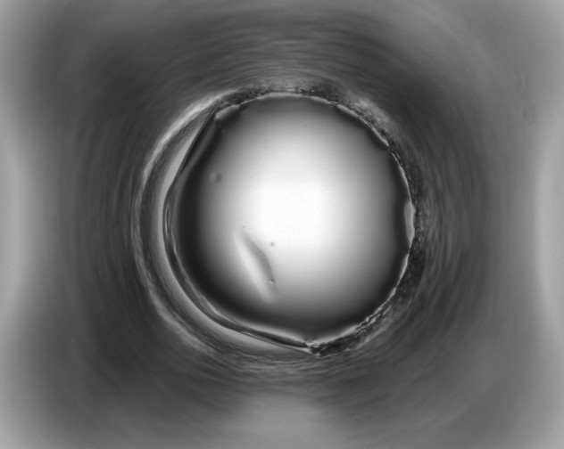 X0000086780726200704271809