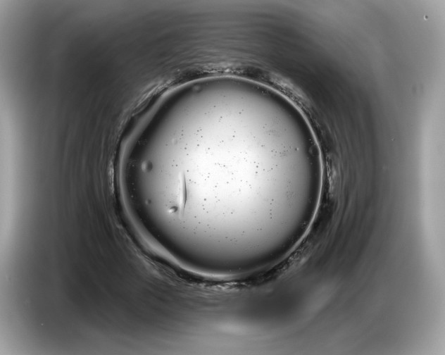 X0000086780729200704271809