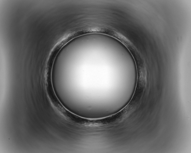 X0000086780730200704271809