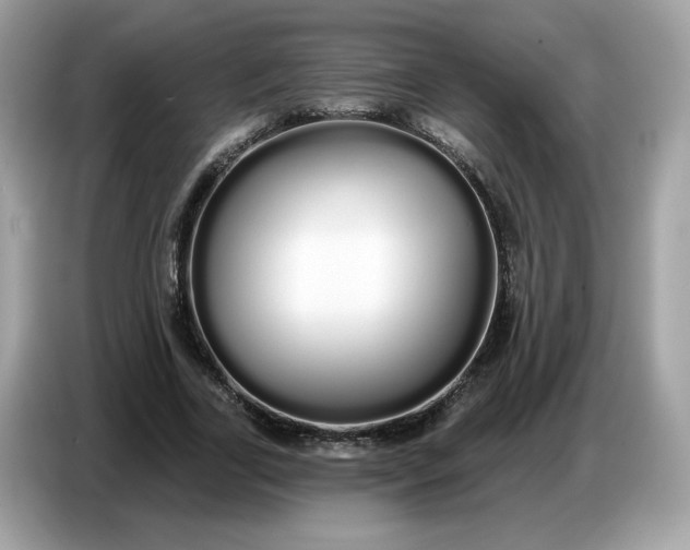 X0000086780731200704271809