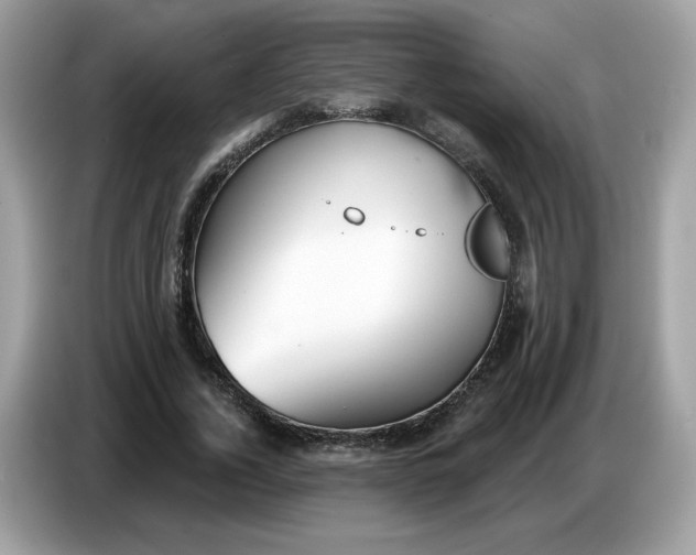 X0000086780732200704271809