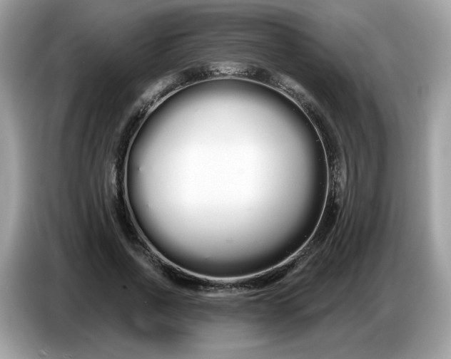 X0000086780734200704271809