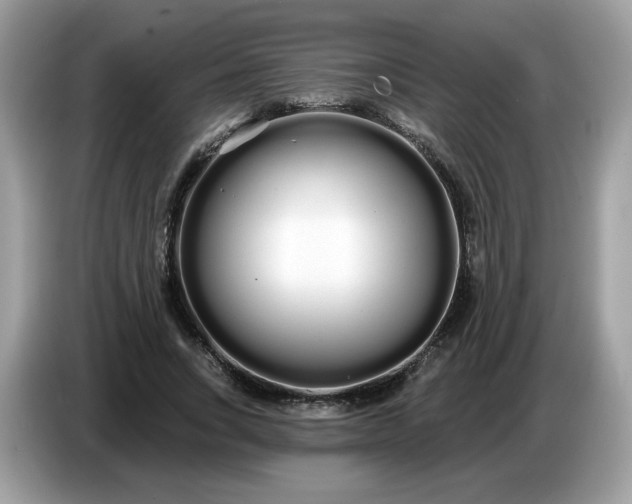 X0000086780735200704271809