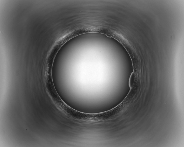 X0000086780736200704271809