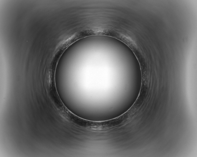 X0000086780740200704271809