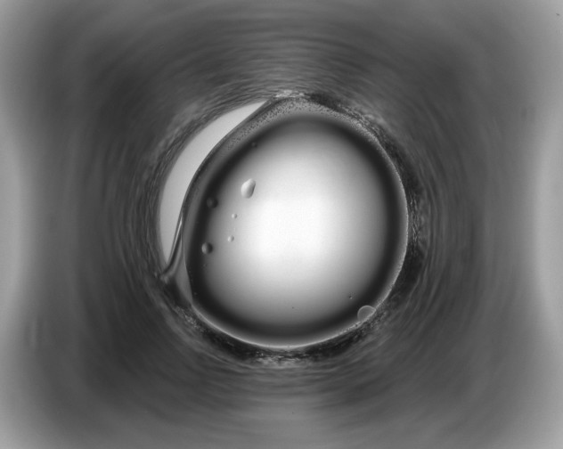 X0000086780742200704271809