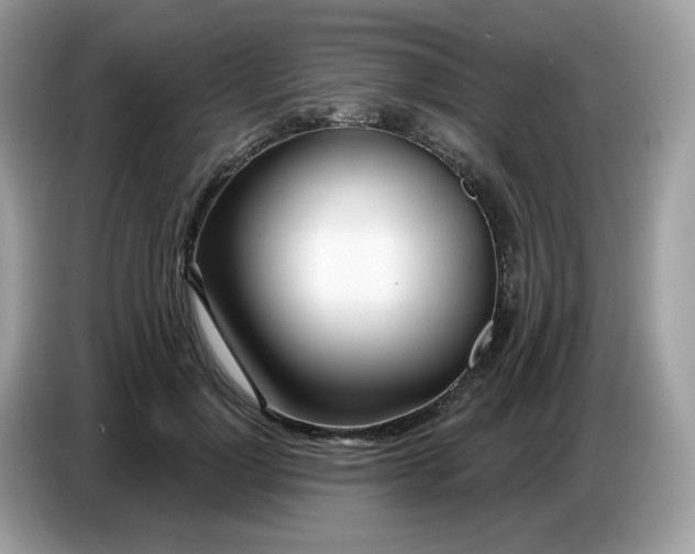 X0000086780748200704271810