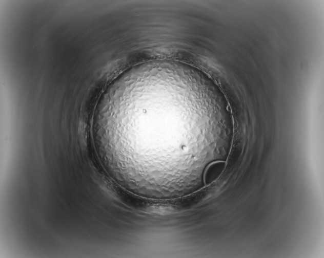 X0000086780749200704271810