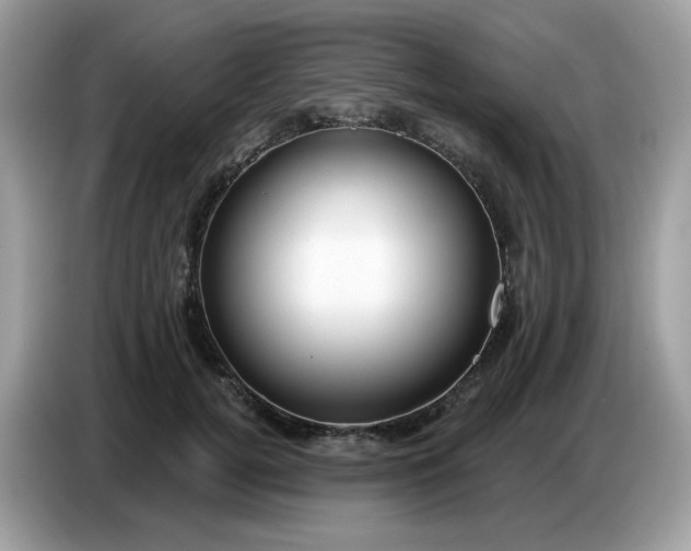 X0000086780752200704271810