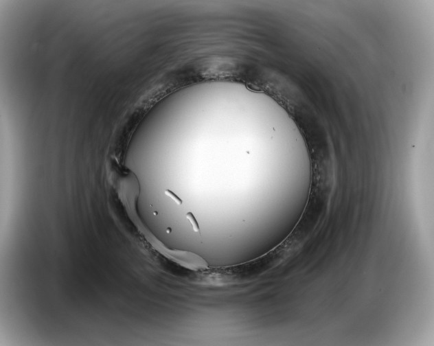 X0000086780755200704271810