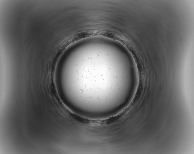 X0000086780757200704271810