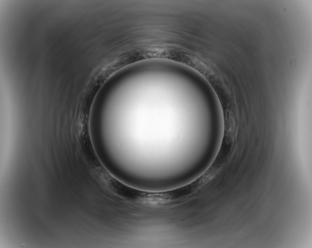 X0000086780758200704271810