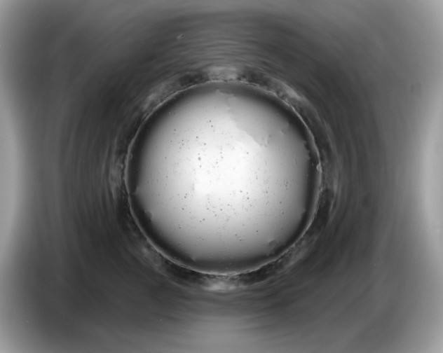 X0000086780761200704271810