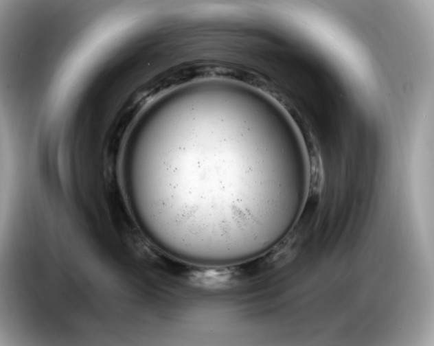 X0000086780765200704271810