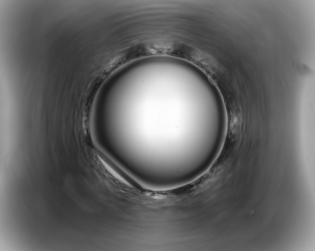 X0000086780772200704271809