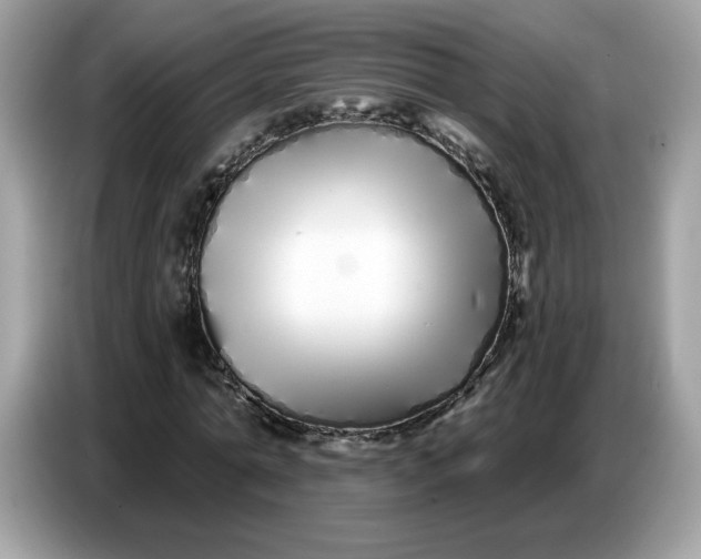 X0000086780774200704271809