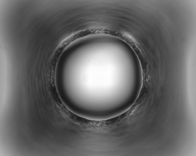 X0000086780775200704271809