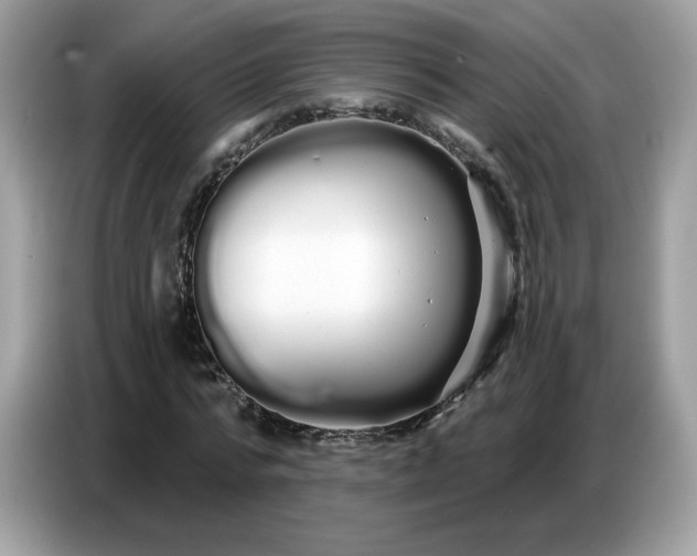 X0000086780776200704271809