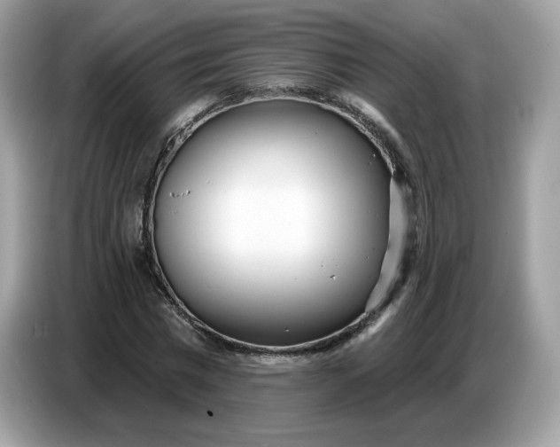 X0000086780777200704271809