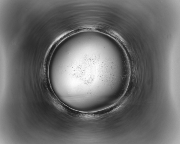 X0000086780779200704271809