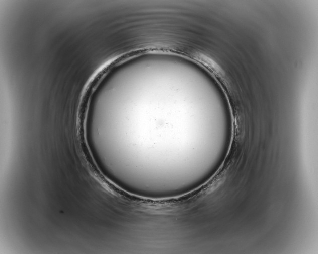 X0000086780780200704271809