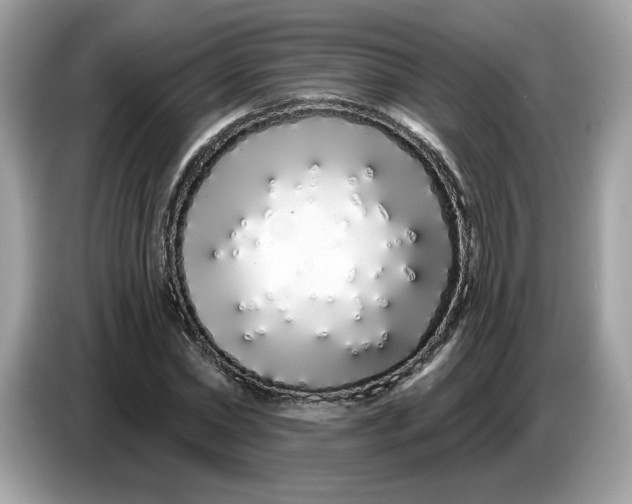 X0000086780782200704271809