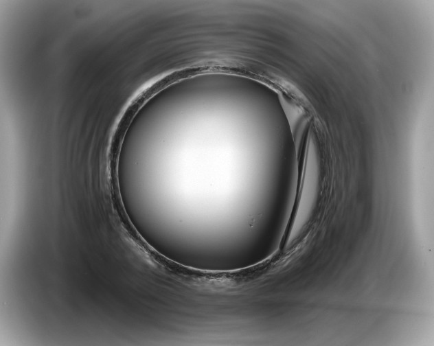 X0000086780784200704271809