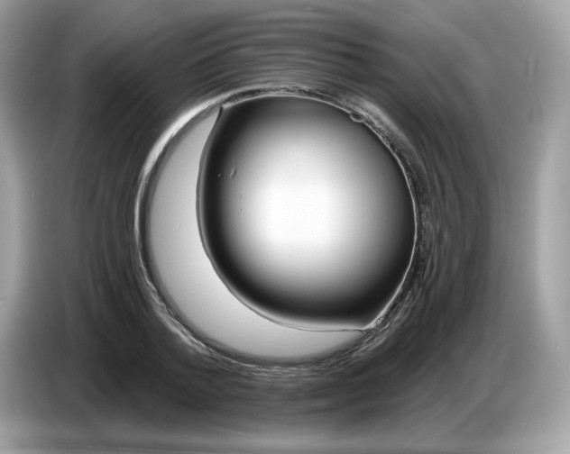 X0000086780788200704271809