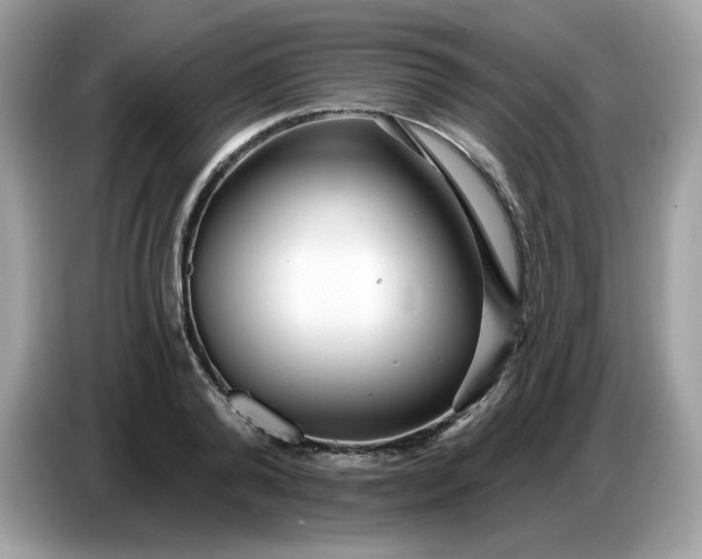 X0000086780792200704271809