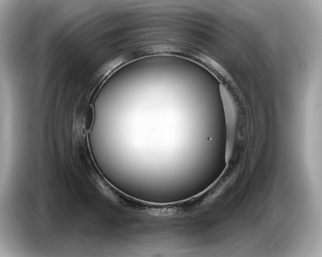 X0000086780793200704271809