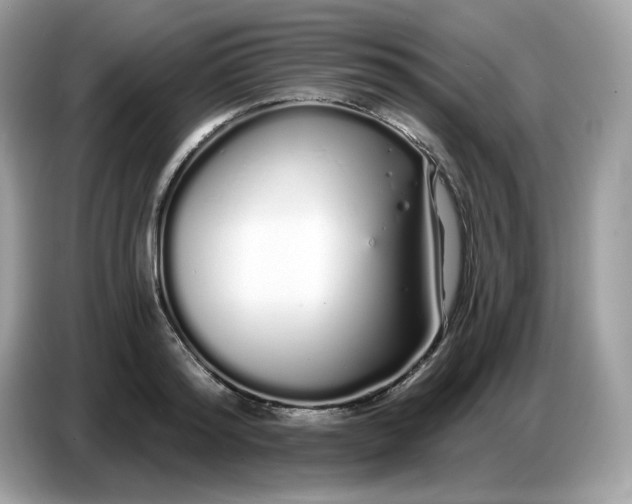 X0000086780796200704271809