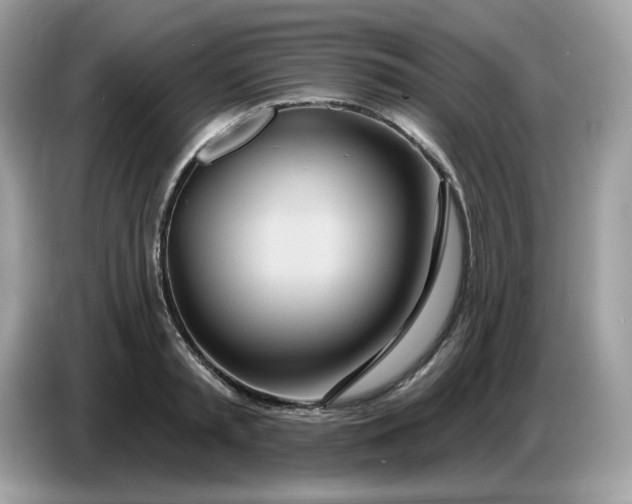 X0000086780797200704271809