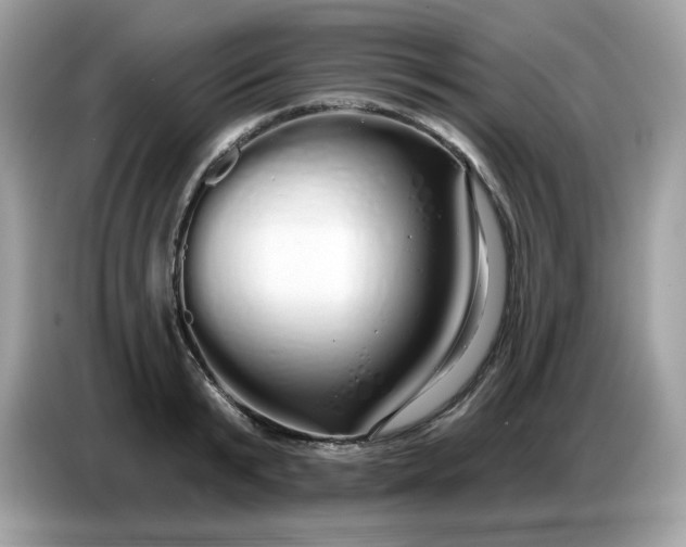 X0000086780799200704271809