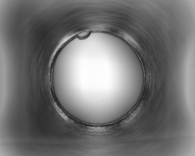 X0000086780800200704271809