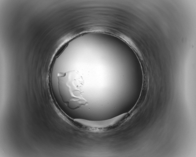 X0000086780805200704271809