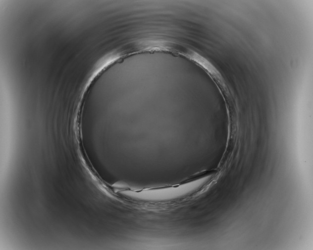 X0000086780806200704271809