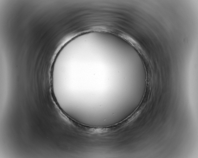 X0000086780808200704271809