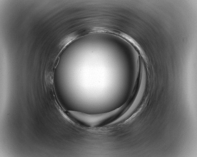 X0000086780809200704271809