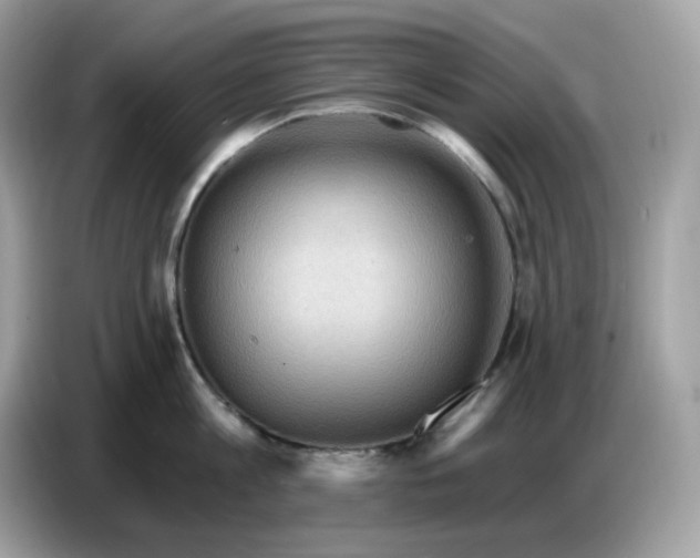 X0000086780813200704271809