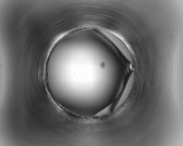 X0000086780815200704271809