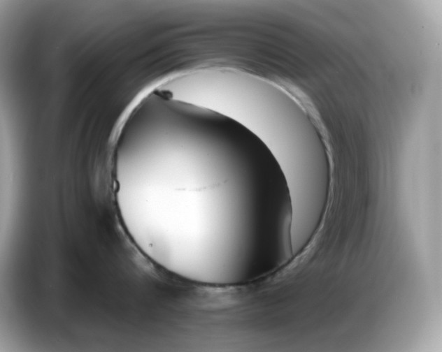 X0000086780816200704271809