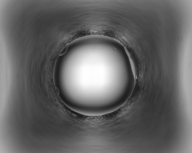 X0000086780817200704271808