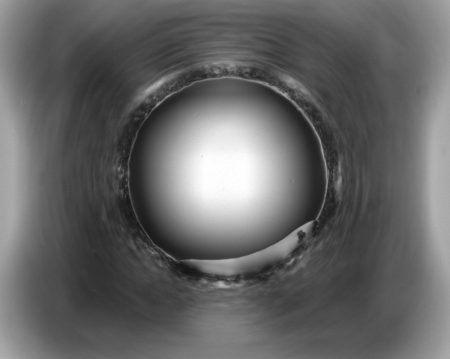 X0000086780822200704271808