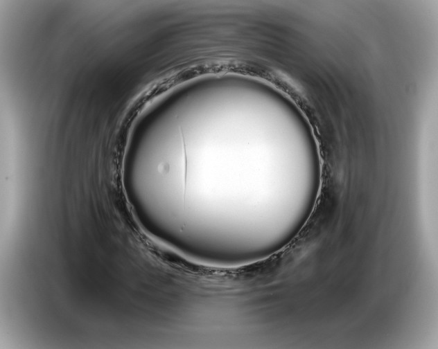 X0000086780823200704271808