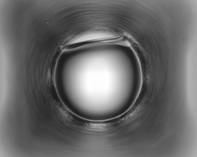 X0000086780825200704271808