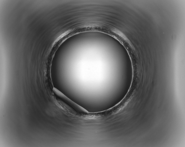 X0000086780826200704271808