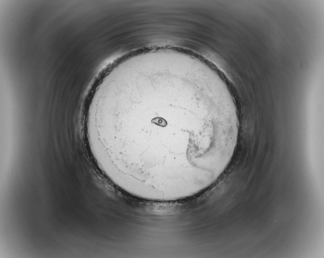 X0000086780832200704271808