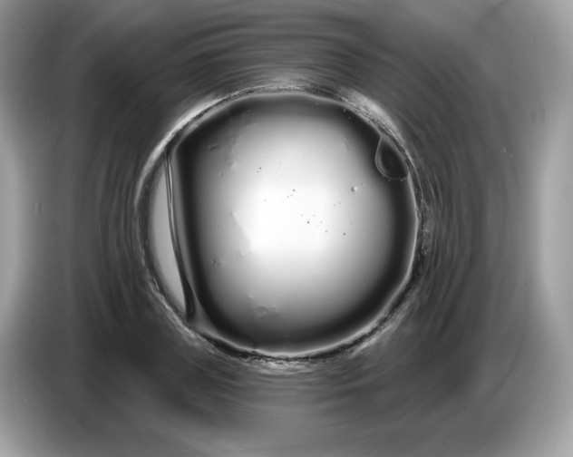 X0000086780835200704271808