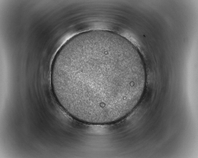 X0000086780836200704271808