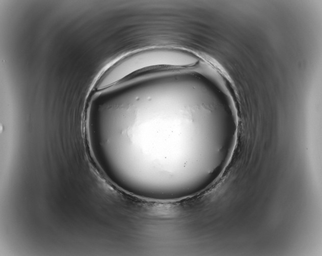 X0000086780839200704271808